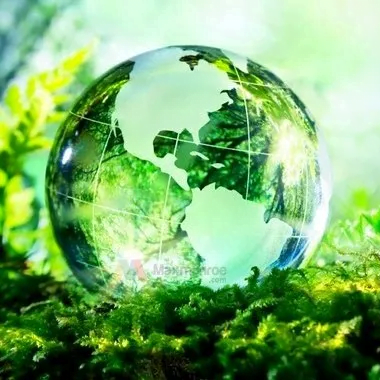 Ecology