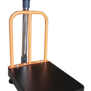 Gambar Excellent BS-MSF-XD LED DOUBLE DISPLAY - 300x400