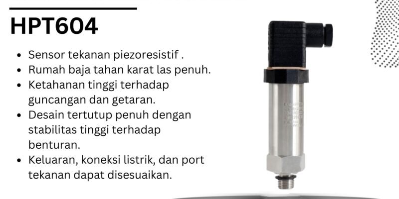 Holykell HPT604 Submersible Water Level Sensor