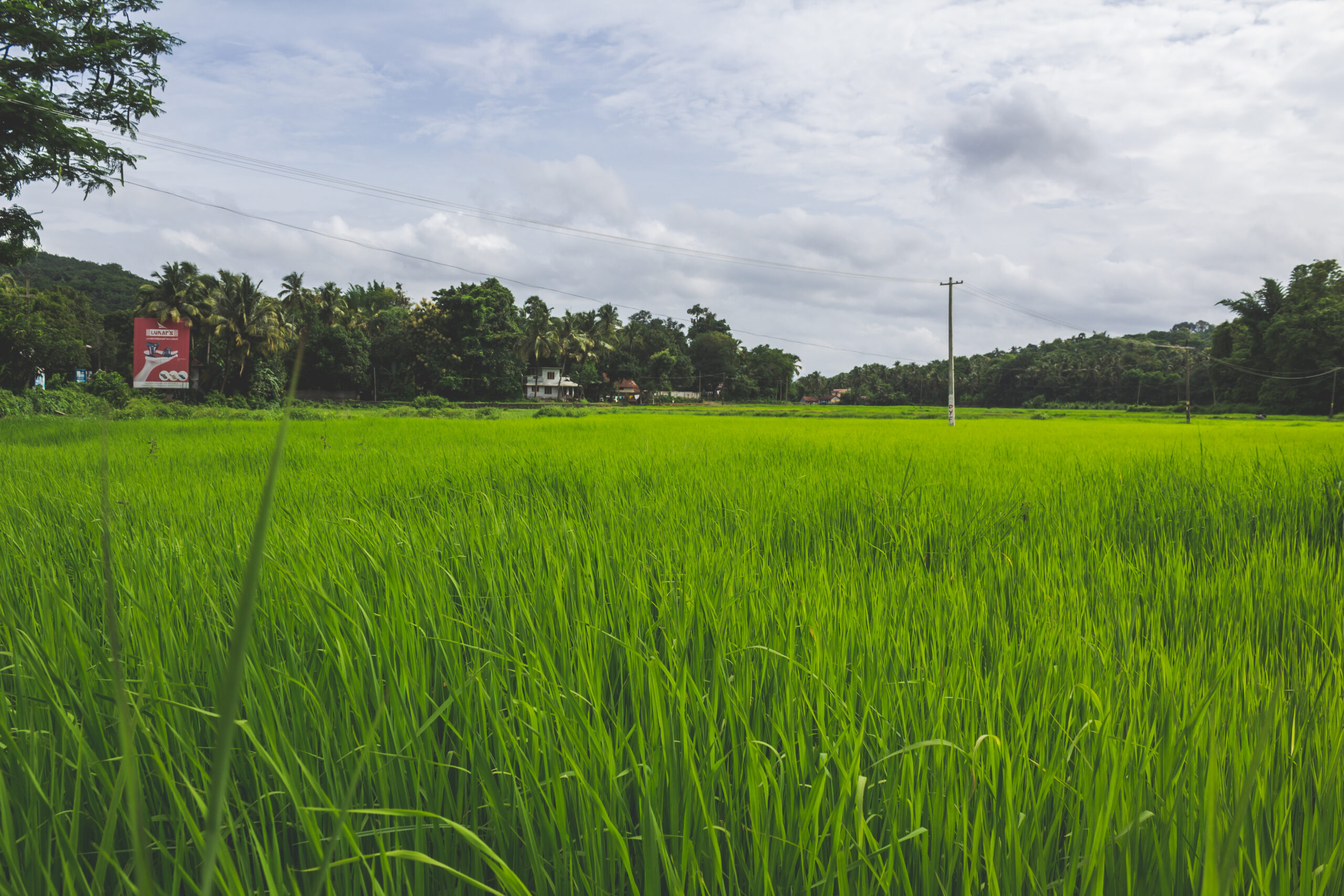 Stasiun Cuaca Monitoring Sawah