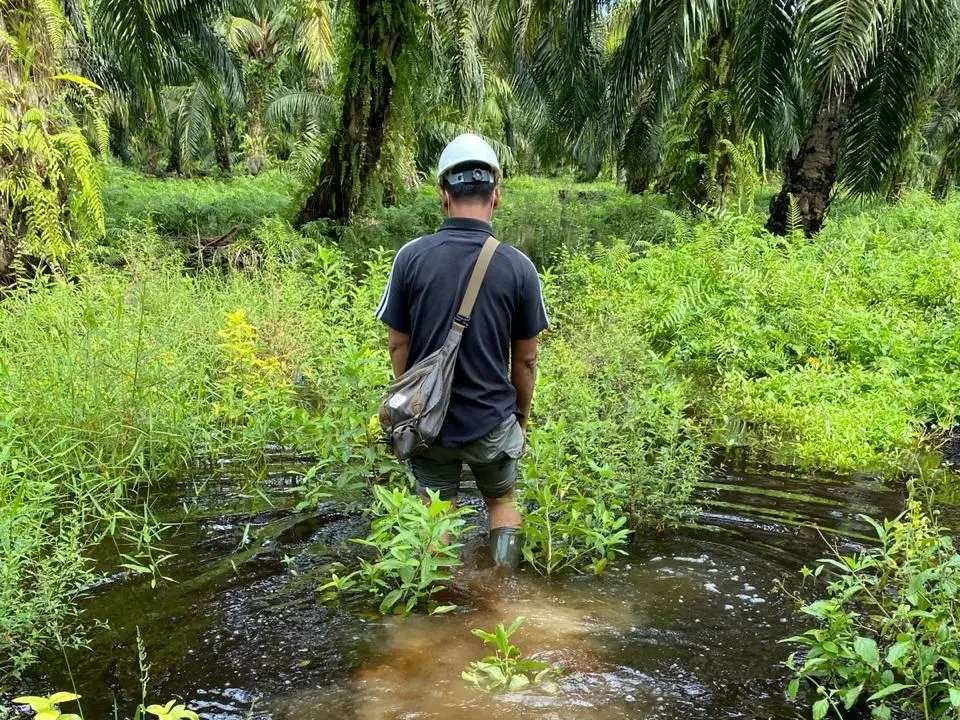 Perjalanan teknisi menuju lokasi instalasi water level data logger di area perkebunan sawit