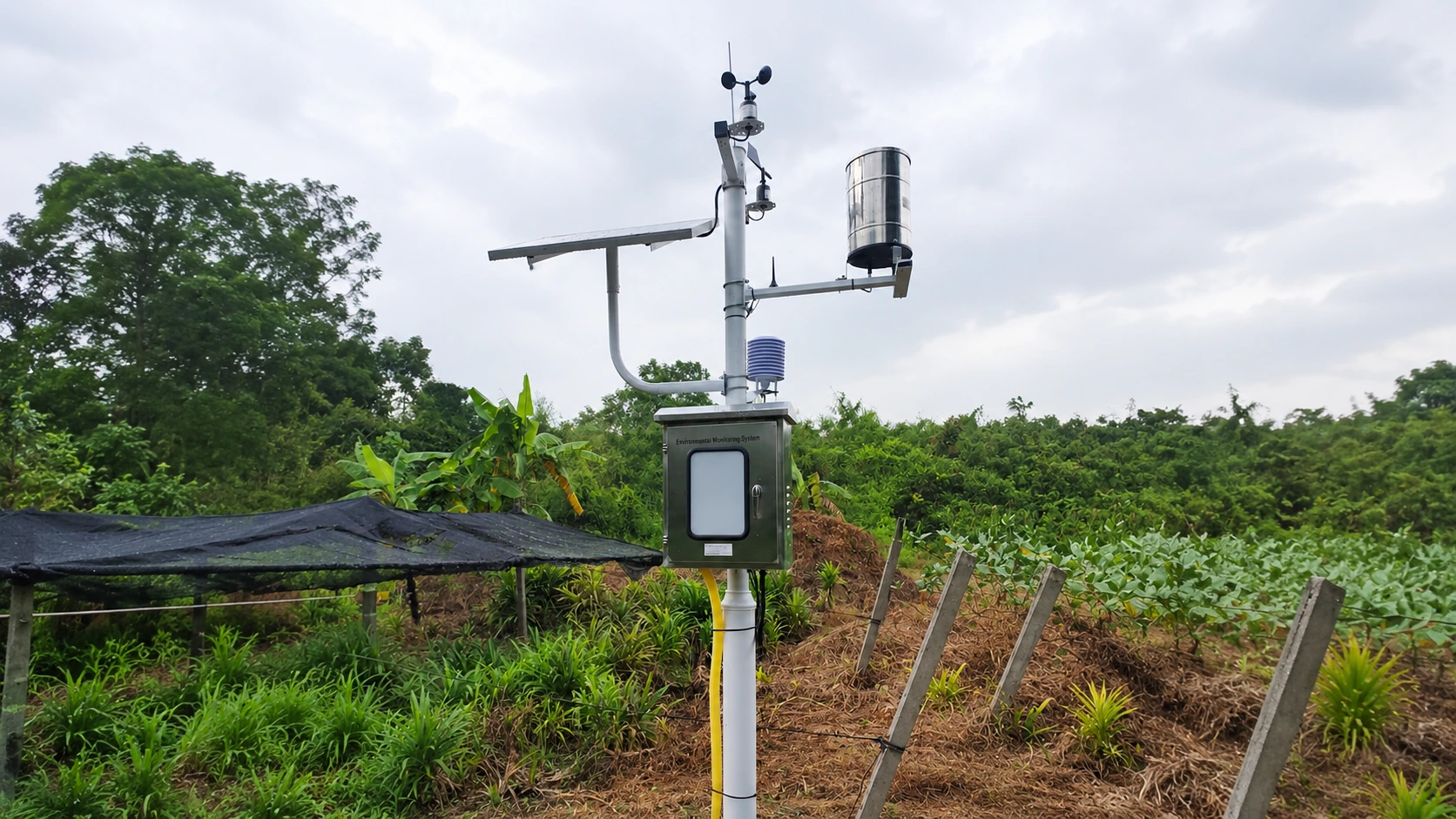 Automatic Weather Station Rika RK900-01
